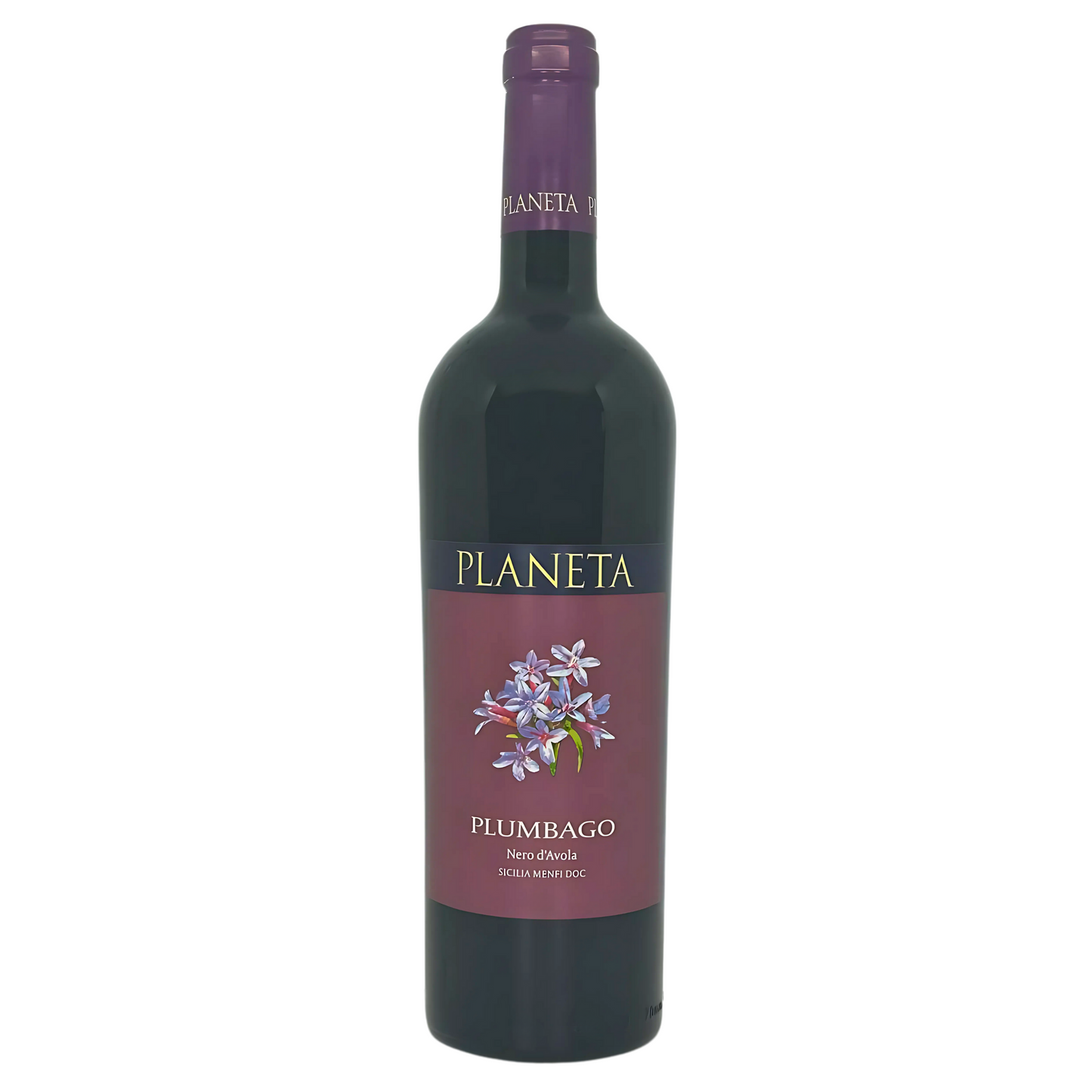 Plumbago 2022 Planeta