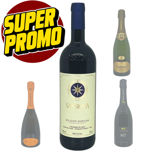 Sassicaia 2021 Tenuta San Guido